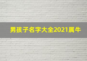 男孩子名字大全2021属牛,2021年属牛的男孩叫什么名字好听又霸气