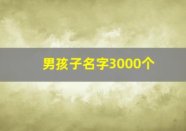 男孩子名字3000个,100个好听的名字男孩