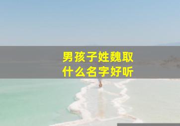 男孩子姓魏取什么名字好听,男孩子姓魏取什么名字好听两个字