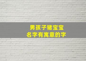 男孩子猪宝宝名字有寓意的字,猪名字男宝宝取名