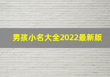 男孩小名大全2022最新版,2022男宝宝乳名大全有哪些