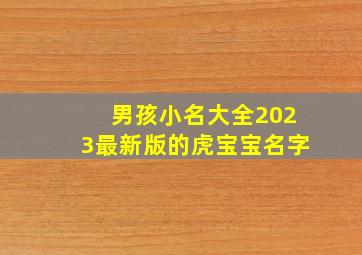 男孩小名大全2023最新版的虎宝宝名字,2022年属虎男孩小名大气可爱虎宝宝乳名