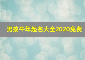 男孩牛年起名大全2020免费,牛年好听的男孩名字