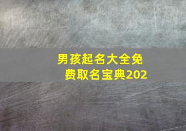 男孩起名大全免费取名宝典202,男孩起名大全免费取名宝典2024