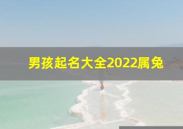 男孩起名大全2022属兔,男孩取名字大全2023属兔免费