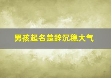 男孩起名楚辞沉稳大气,男宝宝取名字楚辞