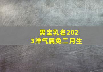 男宝乳名2023洋气属兔二月生,宝宝小名大全2023洋气范例