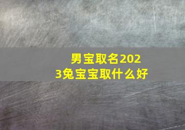 男宝取名2023兔宝宝取什么好,2023年兔宝宝起名男孩兔年出生怎么起名