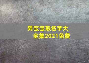 男宝宝取名字大全集2021免费,2021年男孩名字集