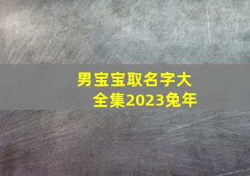 男宝宝取名字大全集2023兔年,2023年男兔宝宝取名字最佳字