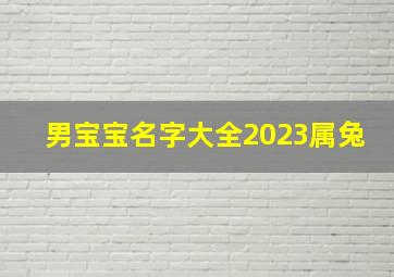 男宝宝名字大全2023属兔,贾姓男宝宝名字大全2023属兔