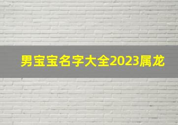 男宝宝名字大全2023属龙,男宝宝名字大全2023属龙姓徐