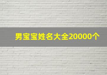 男宝宝姓名大全20000个,男宝宝姓名大全20000个字