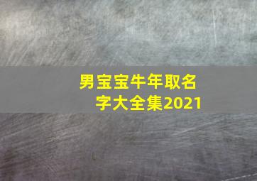 男宝宝牛年取名字大全集2021,属牛的男宝宝取名大全男孩2021年出生适宜取什么字