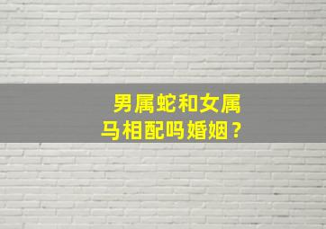 男属蛇和女属马相配吗婚姻？