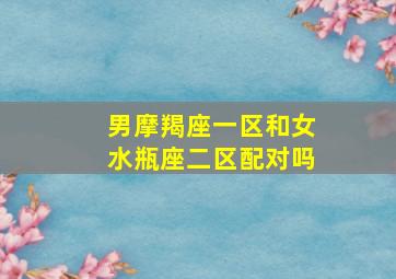 男摩羯座一区和女水瓶座二区配对吗,摩羯座男和水瓶座女配不配