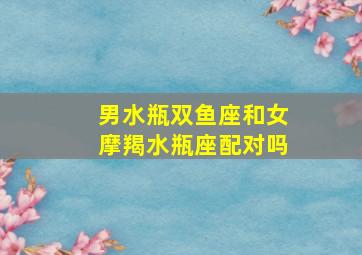 男水瓶双鱼座和女摩羯水瓶座配对吗,水瓶座和双鱼座的配对