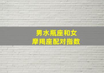 男水瓶座和女摩羯座配对指数,男水瓶座女摩羯座相配指数