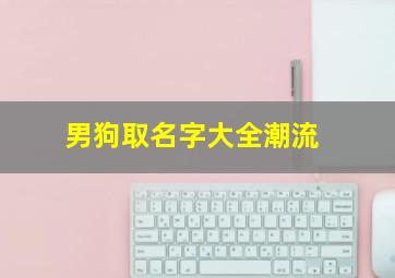 男狗取名字大全潮流,男狗起名字大全霸气