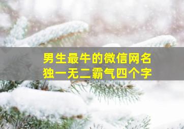 男生最牛的微信网名独一无二霸气四个字,男生微信名简单优雅的四个字