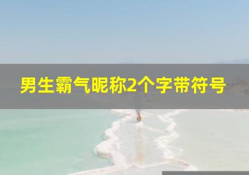 男生霸气昵称2个字带符号,带符号