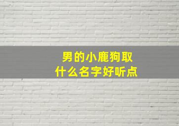 男的小鹿狗取什么名字好听点