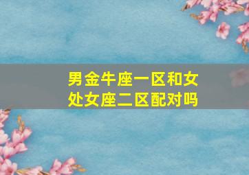 男金牛座一区和女处女座二区配对吗,金牛座男生与处女座女生合适吗