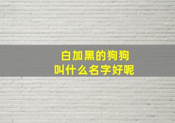 白加黑的狗狗叫什么名字好呢,白加黑的狗狗叫什么名字好呢女生