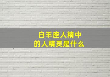 白羊座人精中的人精灵是什么,白羊座的精灵长什么样