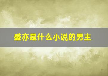 盛亦是什么小说的男主,惊艳的小说言情