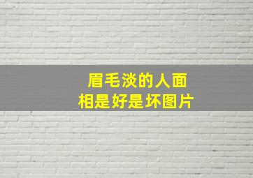 眉毛淡的人面相是好是坏图片