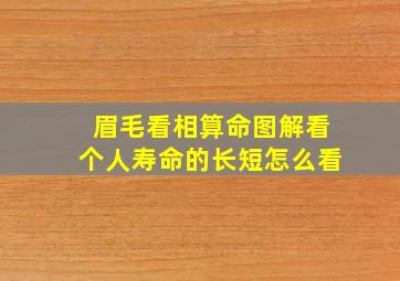 眉毛看相算命图解看个人寿命的长短怎么看,看眉毛相命运