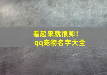 看起来就很帅！qq宠物名字大全