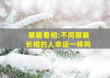 眼睛看相:不同眼睛长相的人命运一样吗