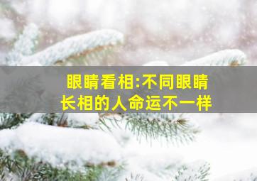 眼睛看相:不同眼睛长相的人命运不一样