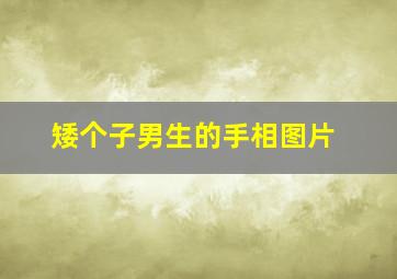 矮个子男生的手相图片,矮个子的男人