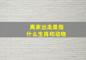 离家出走是指什么生肖和动物,为什么狗临终前要离家出走