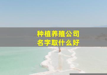 种植养殖公司名字取什么好,种养殖业公司起名