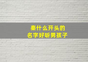 秦什么开头的名字好听男孩子,秦字开头的古风名字