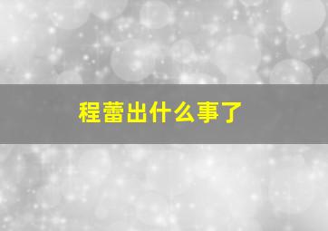 程蕾出什么事了,程雷高调复出