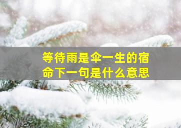 等待雨是伞一生的宿命下一句是什么意思,下一句是什么