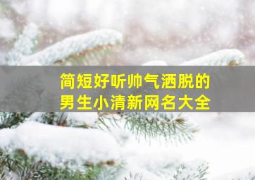 简短好听帅气洒脱的男生小清新网名大全,帅气简洁男生网名