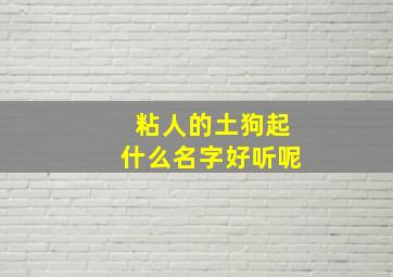 粘人的土狗起什么名字好听呢,土狗好听的独特名字