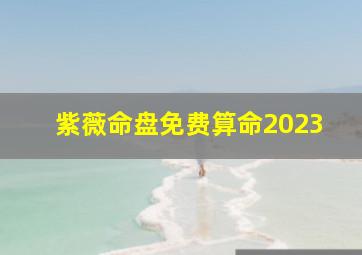 紫薇命盘免费算命2023,怎么解读自己的紫薇命盘