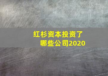 红杉资本投资了哪些公司2020,红杉资本投资了哪些公司