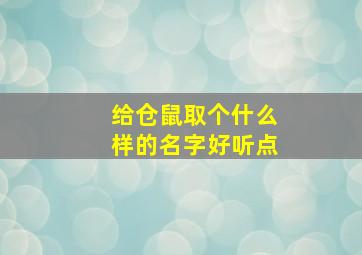 给仓鼠取个什么样的名字好听点