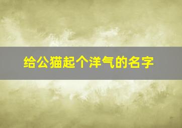 给公猫起个洋气的名字,给公猫起名字大全可爱