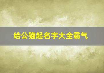 给公猫起名字大全霸气,给公猫起好听的名字