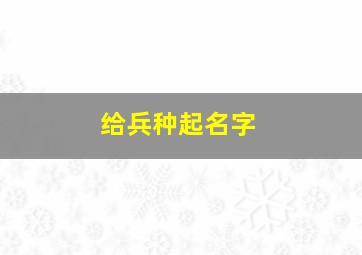 给兵种起名字,好听的兵种名字