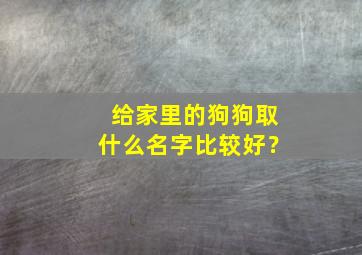 给家里的狗狗取什么名字比较好？,我应该给我们家狗狗取个什么名字好